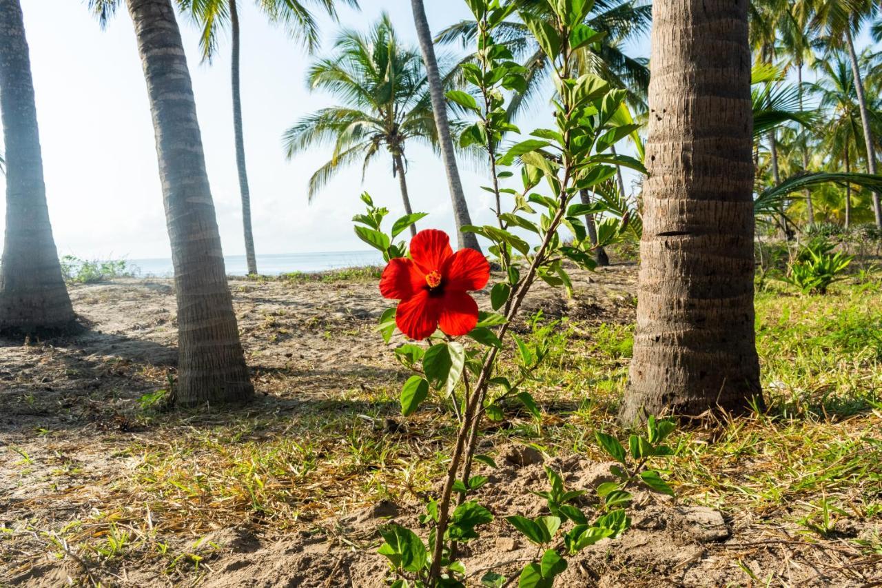 Hibiscus Beach House Pangani Exterior foto